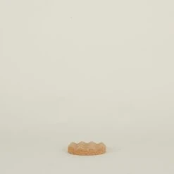 Iris Hantverk Cork Soap Dish