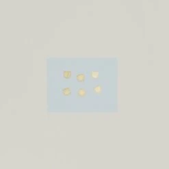 Brass Paper Clips - Large