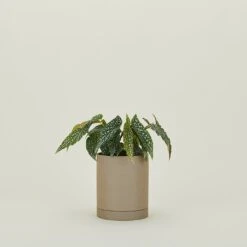 Ferm LIVING Sekki Pots - Sand -ferm LIVING Store FML.800.10.001.045 b