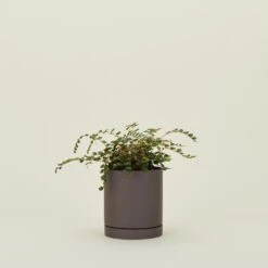 Ferm LIVING Sekki Pot - Charcoal -ferm LIVING Store FML.800.10.001.999 b
