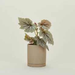 Ferm LIVING Sekki Pots - Sand -ferm LIVING Store FML.800.10.002.045 b