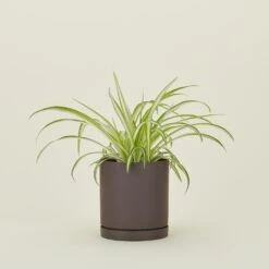 Ferm LIVING Sekki Pot - Charcoal -ferm LIVING Store FML.800.10.002.999 b