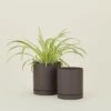 Ferm LIVING Sekki Pot - Charcoal -ferm LIVING Store FML.800.10.XXX .999 a