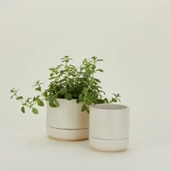 Franklin Self Watering Planter - Speckled