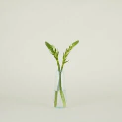 Aurora Slim Drop Vase - Sky -ferm LIVING Store SPRING202111391 RT caa31ce6 abd6 4dce 8a6d 89bc70cbdad2