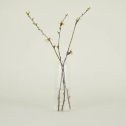 Aurora Pill Vase - Clear 13 Aurora Pill Vase - Clear -ferm LIVING Store SPRING202111425 RT bf5e878b 788c 44a6 94ee b2e424e37c1b