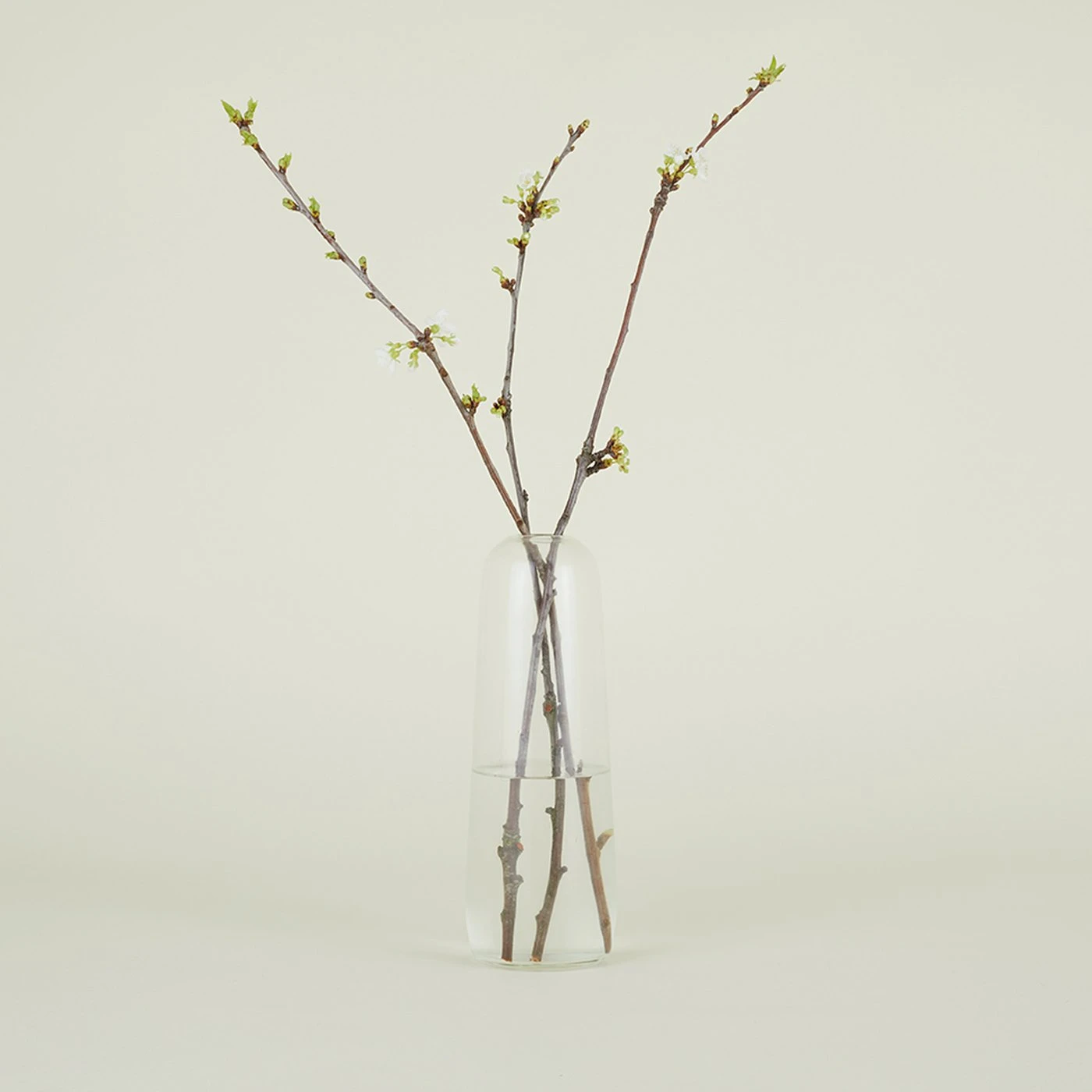 Aurora Pill Vase - Clear 7 Aurora Pill Vase - Clear - Image 5