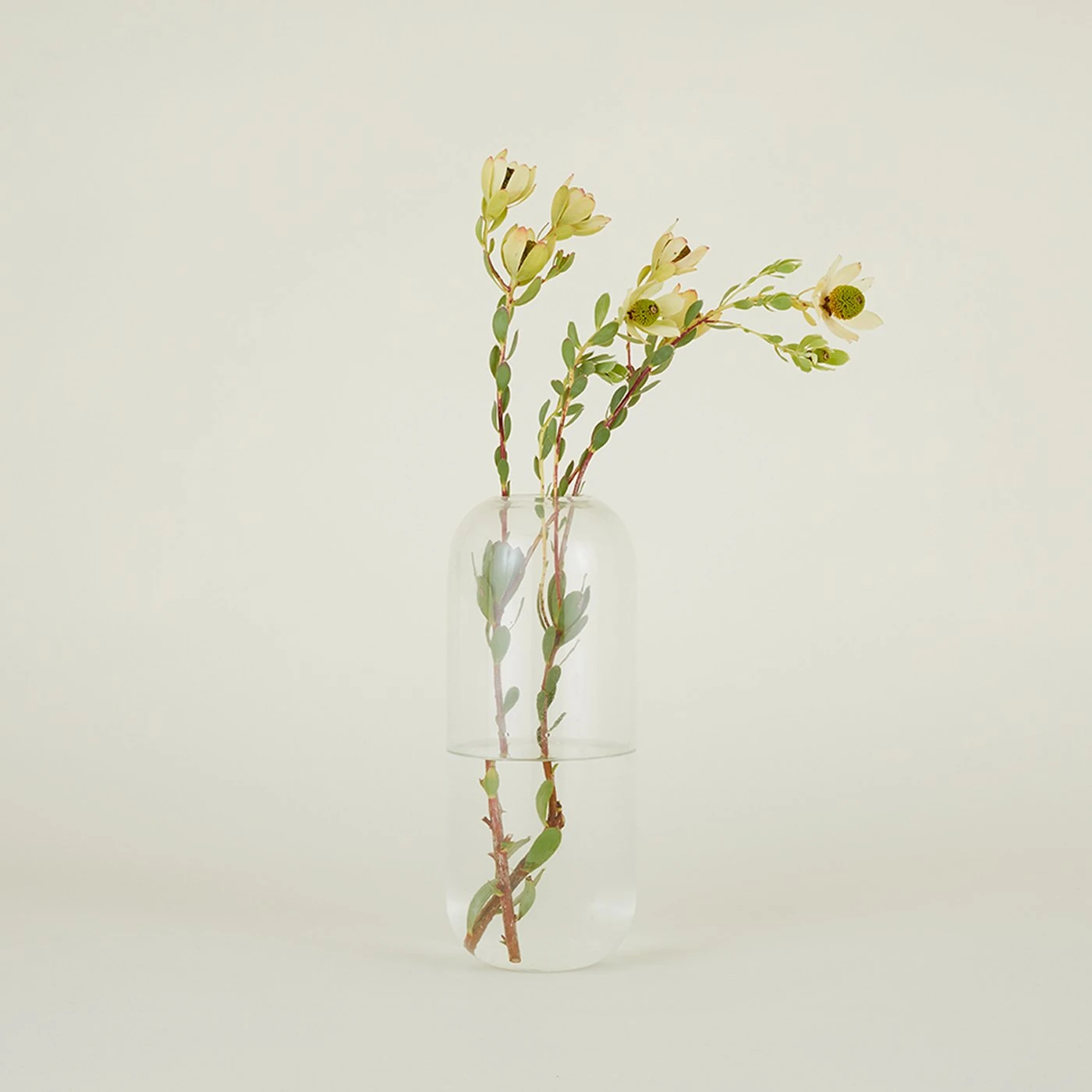 Aurora Pill Vase - Clear 8 Aurora Pill Vase - Clear - Image 6