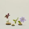 Brass Flower Frog -ferm LIVING Store STT.100.40.00X.BRS b3