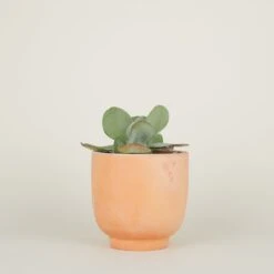 Footed Planter - Terracotta -ferm LIVING Store TC footedplanter medprop