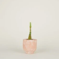 Footed Planter - Terracotta -ferm LIVING Store TC footedplanter smprop alt